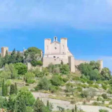 Aroa 2 In Cala Rajada